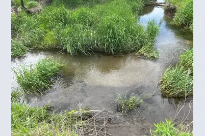 Tbd Highway 56, Le Roy, MN 55951 - Photo 22