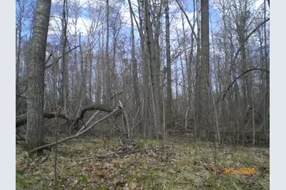 Lot 211 Catskill Circle, Breezy Point, MN 56472 - Photo 4