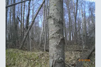 Lot 211 Catskill Circle, Breezy Point, MN 56472 - Photo 6