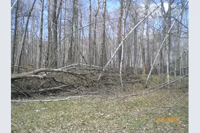 Lot 211 Catskill Circle, Breezy Point, MN 56472 - Photo 2