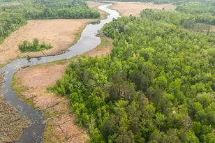 21341 County 50, Park Rapids, MN 56470 - Photo 30