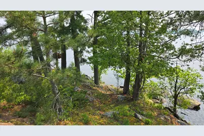 Tbd 11.85 Bessette Road, Orr, MN 55771 - Photo 28