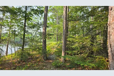Tbd 11.85 Bessette Road, Orr, MN 55771 - Photo 32