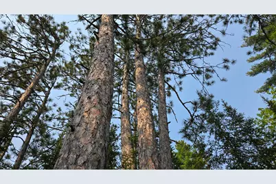 Tbd 11.85 Bessette Road, Orr, MN 55771 - Photo 8