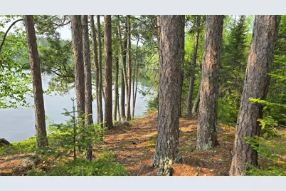 Tbd 11.85 Bessette Road, Orr, MN 55771 - Photo 22