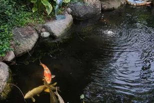 2601 Portland Ave, Minneapolis, MN 55407 - Photo 78