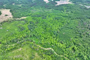 Tbd Xxx, Osage Township, MN 56570 - Photo 1