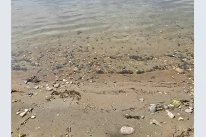 29501 Maplewood Road #HORSESHOE, Callaway, MN 56521 - Photo 26