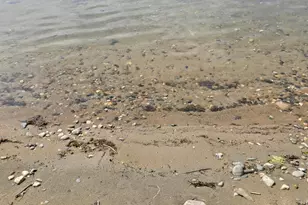 29501 Maplewood Rd, Callaway, MN 56521 - Photo 26