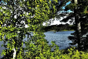 17251 State Hwy 6, Deerwood, MN 56444 - Photo 8