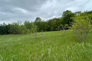 Xxx Calico Trail, Motley, MN 56466 - Photo 1