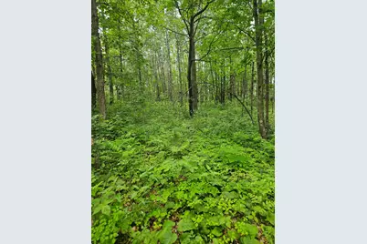 Parcel E Rogue Way, Ironton, MN 56455 - Photo 18