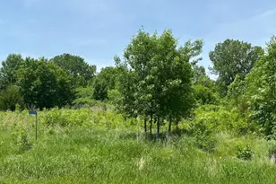 29036 Biehn Dr, Madison Lake, MN 56063 - Photo 1