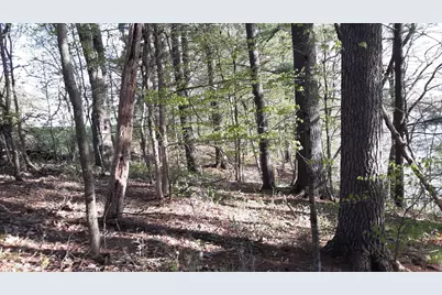 40039 County Rd 17, Browerville, MN 56438 - Photo 28