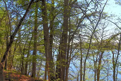 40039 County Rd 17, Browerville, MN 56438 - Photo 8