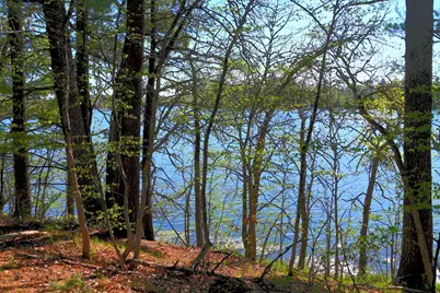 40039 County Rd 17, Browerville, MN 56438 - Photo 6