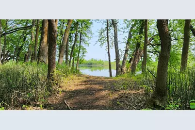 2922 Highway 11 S, Loman, MN 56654 - Photo 6