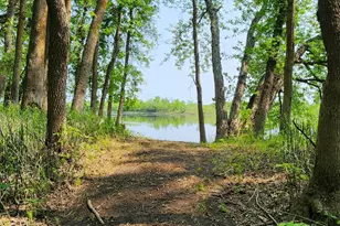 2922 Hwy 11 S, Loman, MN 56654 - Photo 6