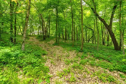 22054 Nirvana Trail, Vining, MN 56588 - Photo 26