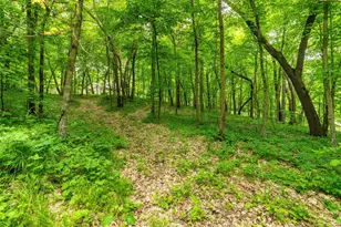 22054 Nirvana Trail, Vining, MN 56588 - Photo 26