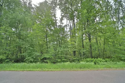 Tbd Blue Lane E, Emily, MN 56447 - Photo 1