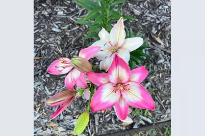 12615 S Abbey Lake Lane, Detroit Lakes, MN 56501 - Photo 44