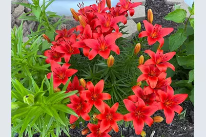 12615 S Abbey Lake Lane, Detroit Lakes, MN 56501 - Photo 42