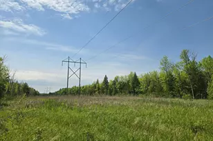 Tbd Town Road 166, Littlefork, MN 56653 - Photo 1
