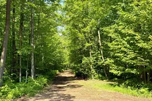 74564 Cane Creek Rd, Kettle River Township, MN 55704 - Photo 1