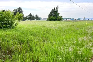 22579 Fordham Rd, Wakefield Township, MN 56368 - Photo 1