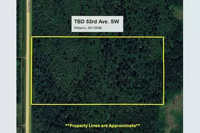 Tbd 53rd Avenue SW, Williams, MN 56686 - Photo 1