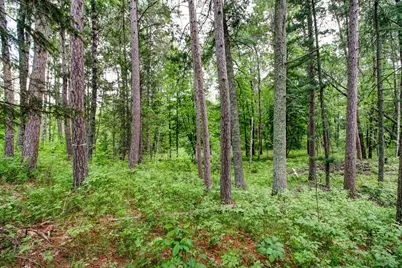 26298 County 89, Park Rapids, MN 56470 - Photo 54