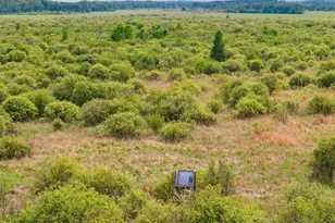 25935 310th St, Sebeka, MN 56477 - Photo 26