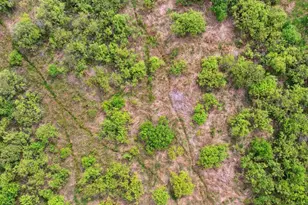 25935 310th St, Sebeka, MN 56477 - Photo 24