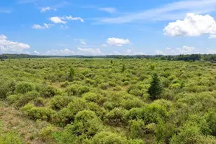 25935 310th St, Sebeka, MN 56477 - Photo 22