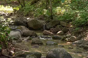 32908 285th Ave, Le Sueur, MN 56058 - Photo 28