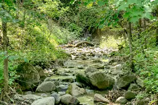 32908 285th Ave, Le Sueur, MN 56058 - Photo 86