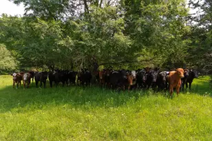 32908 285th Ave, Le Sueur, MN 56058 - Photo 26