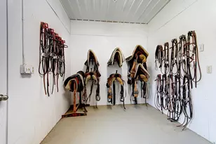 32908 285th Ave, Le Sueur, MN 56058 - Photo 14