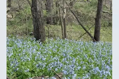 1804 Northern Viola Lane NE, Rochester, MN 55906 - Photo 62