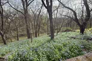 1804 Northern Viola Ln NE, Rochester, MN 55906 - Photo 64