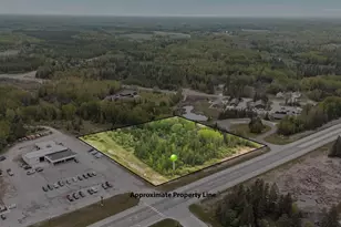 Tbd Hwy 53, Cook, MN 55723 - Photo 1