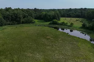 11779 Loftman Trail, Chisago Lake Township, MN 55056 - Photo 1