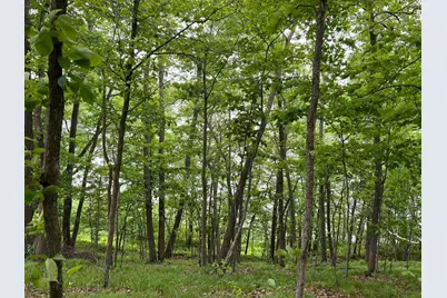 5585 Woods Bay Drive NE, Outing, MN 56662 - Photo 24