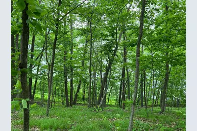 5585 Woods Bay Drive NE, Outing, MN 56662 - Photo 2