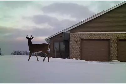 19800 Stephan Drive, Minnewaska Twp, MN 56381 - Photo 58