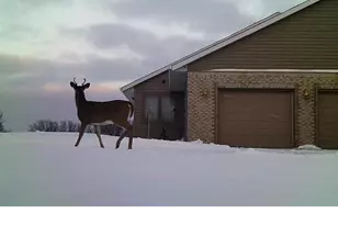 19800 Stephan Dr, Minnewaska Twp, MN 56381 - Photo 58