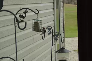 19800 Stephan Dr, Minnewaska Twp, MN 56381 - Photo 54