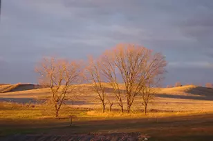 19800 Stephan Dr, Minnewaska Twp, MN 56381 - Photo 62