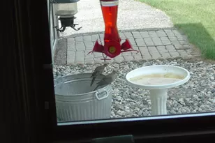 19800 Stephan Dr, Minnewaska Twp, MN 56381 - Photo 52